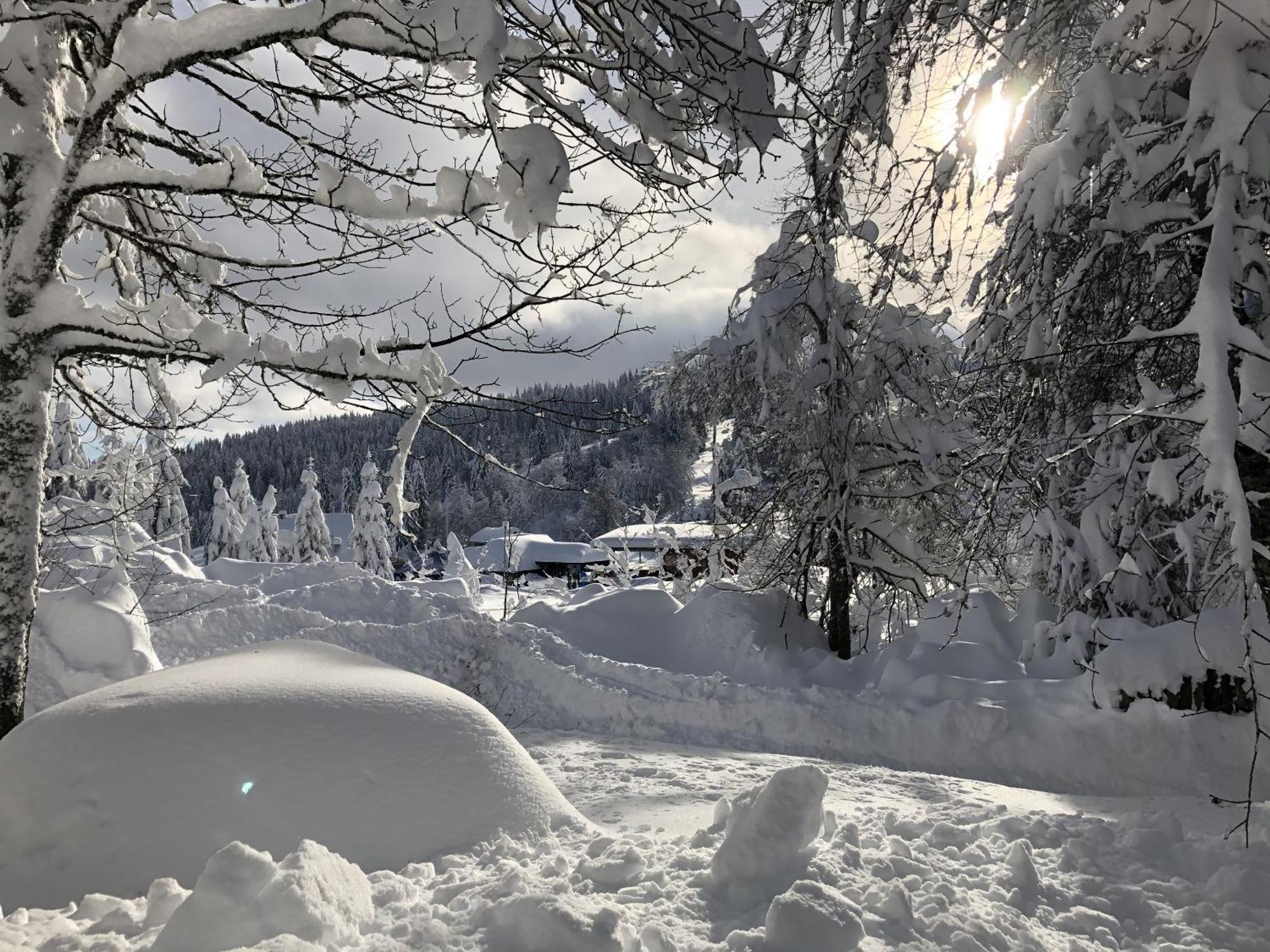 Schwarzwaldhimmel Villa Feldberg  Dış mekan fotoğraf